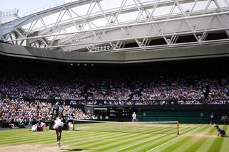 Kvitová všem ukázala cestu. Šéf českého tenisu o jedinečném Wimbledonu - Seznam Zprávy